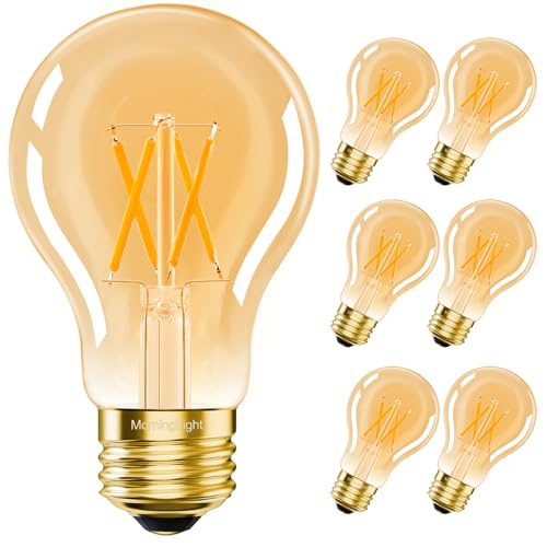 A19 Vintage LED Edison Light Bulbs 60 Watt (6 Count)
