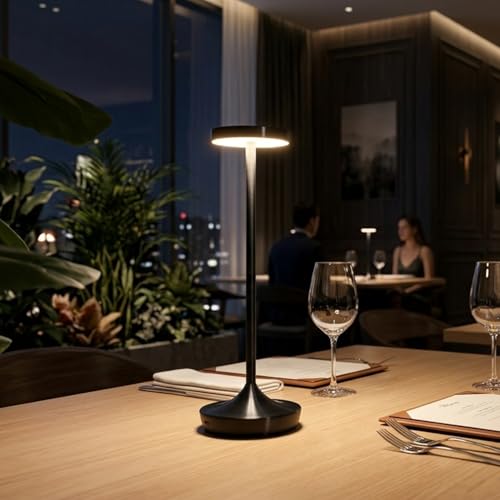 2 Pack Cordless Table Lamps