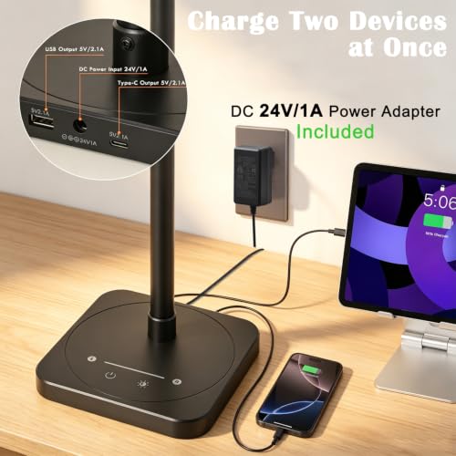 Desk Lamp for Office Home Dual Head 24W Swing Arm Reading Table Lamp Black (Black)