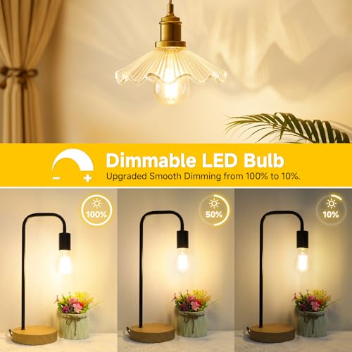 A19 Vintage LED Edison Bulbs Dimmable 60W Equivalent High Brightness (4 Count)