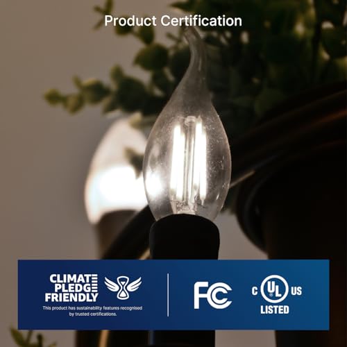 LED Chandelier Edison Bulbs 5000K Daylight (48 Count)