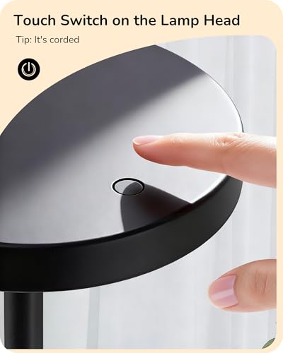 LED Table Lamp