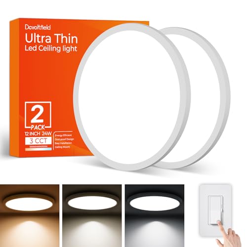2 Pack 12 Inch LED Flush Mount Ceiling Light Fixture (2 Count)