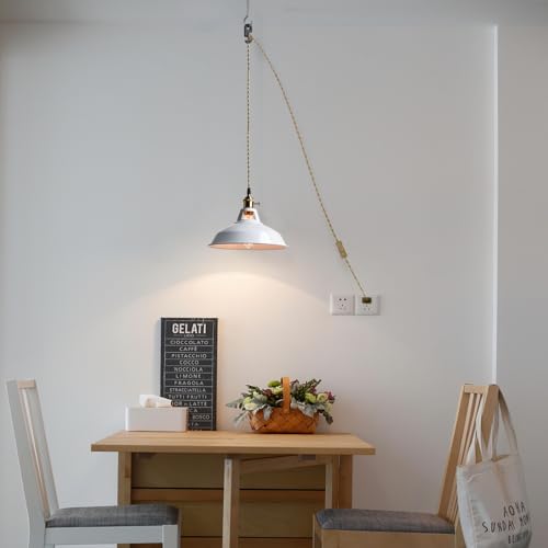 Nordic Plug in Pendant Light White Barn Shade with Dual Switches