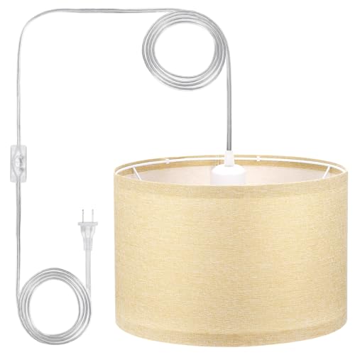Plug in Pendant Light