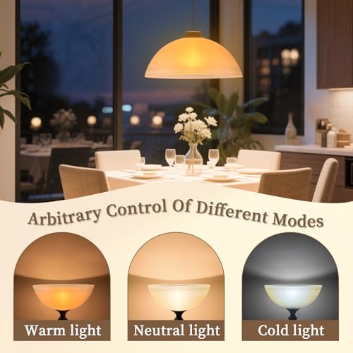 Glass Lamp Shade Replacement for Torchiere Floor Lamps
