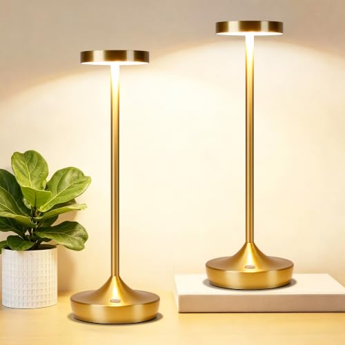 2 Pack Rechargeable Cordless Table Lamps 6000mAh LED Battery Table Light