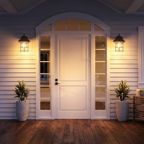 2 Pack Dusk to Dawn Outdoor Wall Lights (Black / 2 Pack)