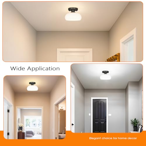 Elegant Black Semi Flush Mount Ceiling Light