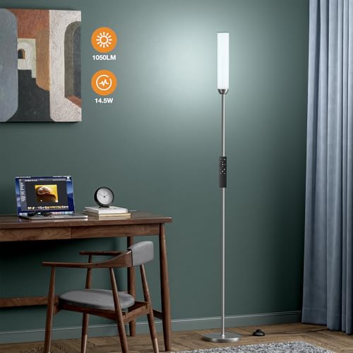 LED Floor Lamp with Remote Control