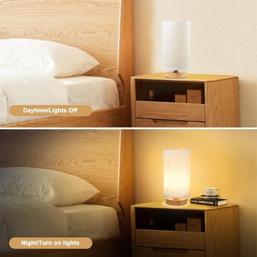 3 Color Adjustable Bedside Table Lamp for Bedroom