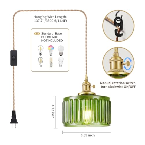 Plug in Pendant Light