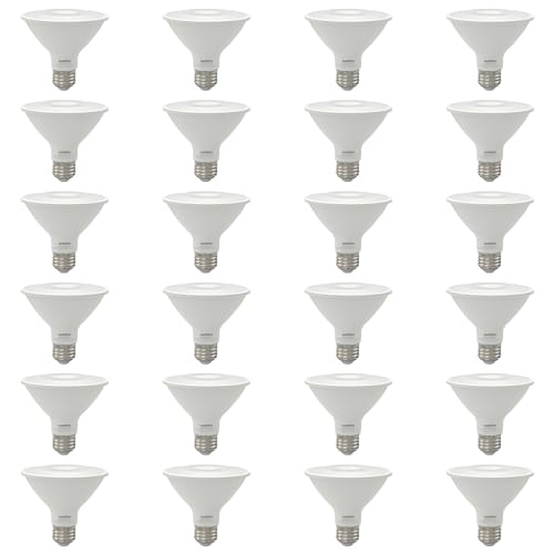 Reflector PAR30 LED Bulb (24 Count)