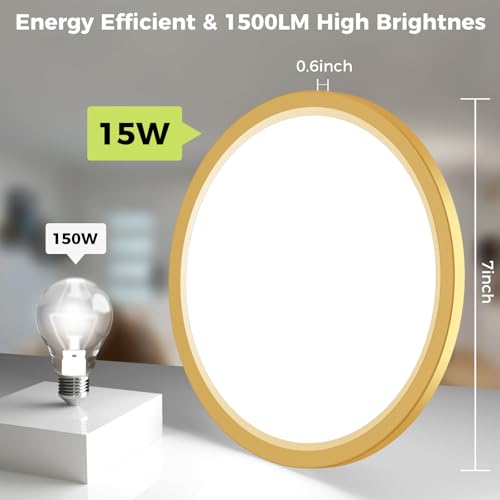 2Pack LED Flush Mount Ceiling Light Fixture Golden
