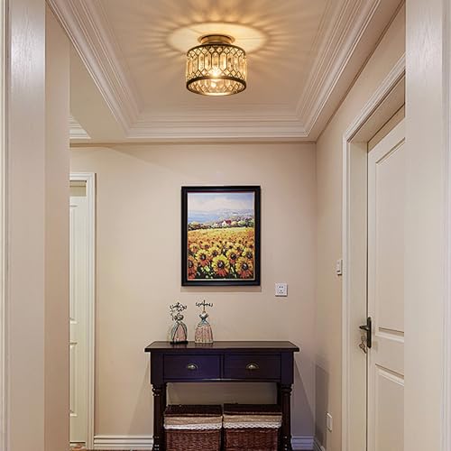 Crystal Ceiling Light Fixture