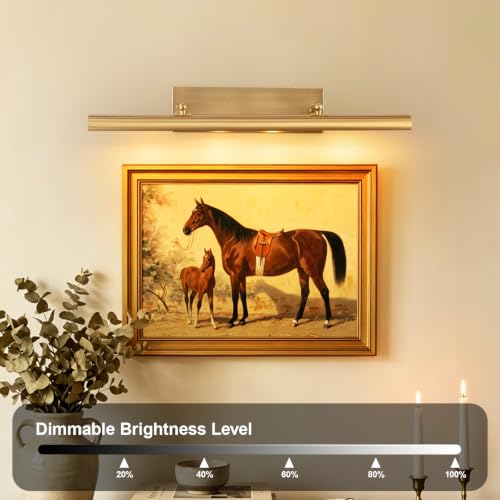 Picture Lights for Wall Hardwired