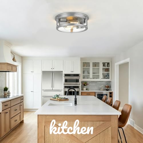 2 Light Brushed Nickel Flush Mount Ceiling Light Fixtures (Brushed Nickel)