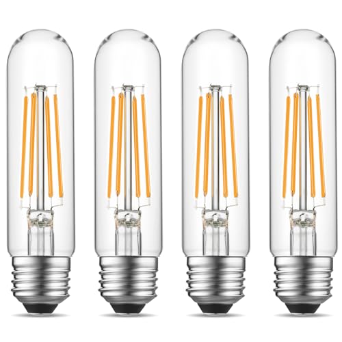 Dimmable E26 Edison Bulb (4 Count)