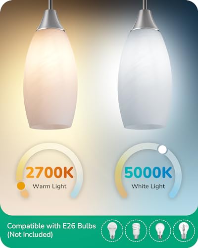 Pendant Light Fixture