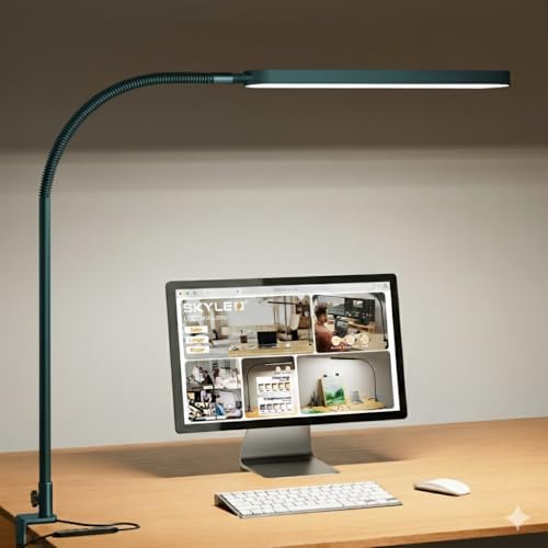 LED Desk Lamp