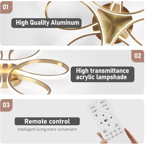 26inch Modern LED Ceiling Light