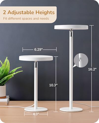 LED Desk Lamp