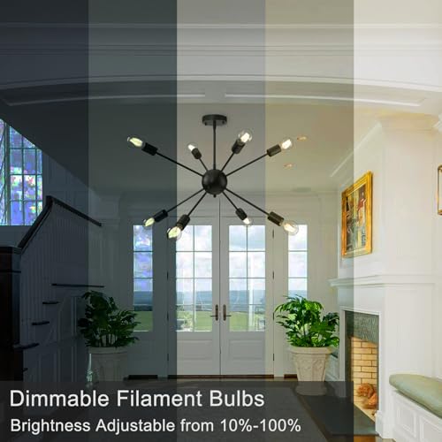 A19 LED Edison Light Bulb (12 Count)
