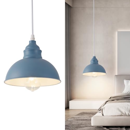 Plug in Pendant Light