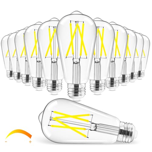 Edison Bulbs Dimmable (12 Count)