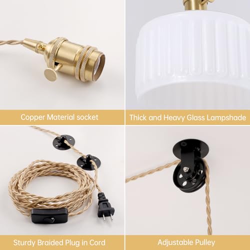 Plug in Pendant Light Hanging Light Fixture Corded On