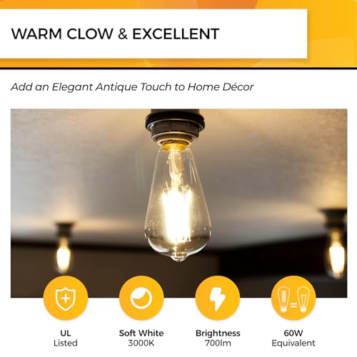 Edison Bulbs Dimmable (12 Count)