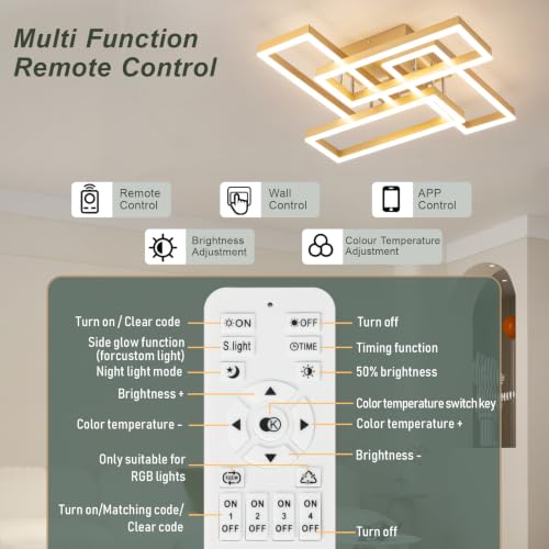 Modern Led Ceiling Light for Living Room