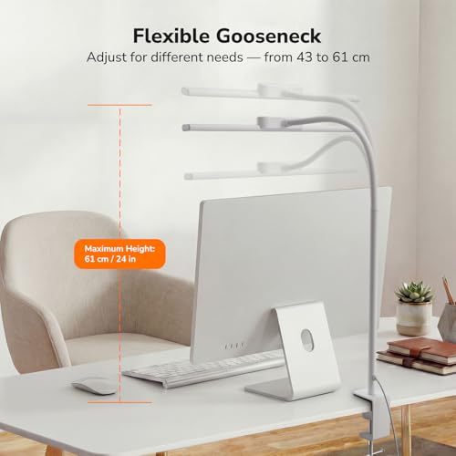 Desk Lamp with Clamp (White)