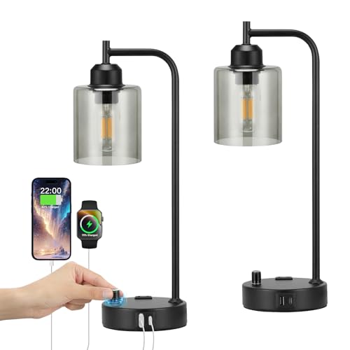Industrial Desk Lamps for Office Set of 2 (2 Count)