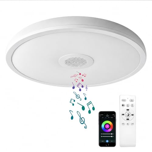 Smart Waterproof LED Flush Mount Ceiling Light Fixture