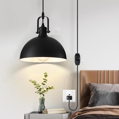 Plug in Pendant Light