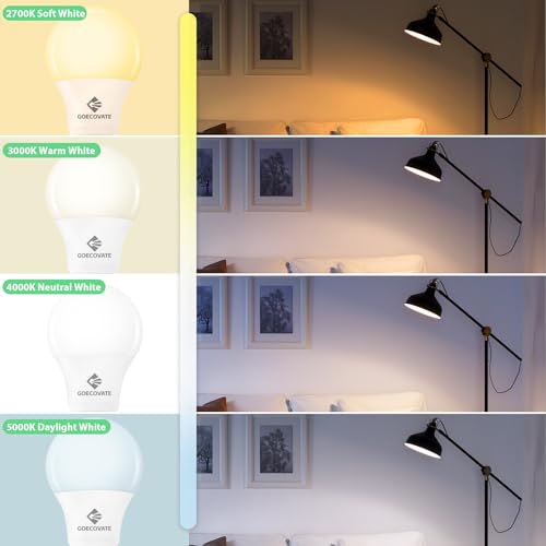 24 Pack A19 Light Bulbs Daylight 5000K 60 Watt Equivalent Led Light Bulb (24 Count)