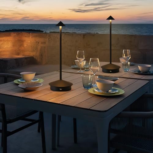 2 Pack LED Rechargeable Cordless Table Lamps