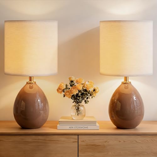 17.7" Ceramic Table Lamps Set of 2 for Living Room Bedroom (2 Count)