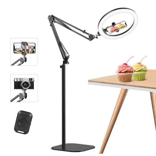12" Overhead Phone Mount with Ring Light