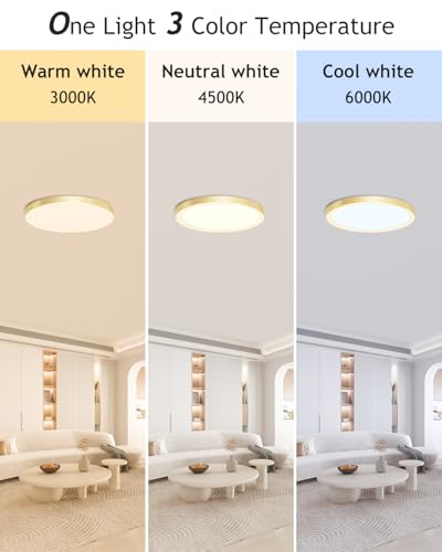 1PACK Flush Mount LED Ceiling Light Fixture Golden