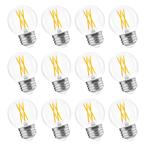 E26 Base G16.5 Globe LED Edison Bulb (12 Count)