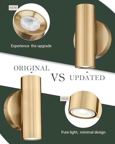 1 Light Wall Sconce