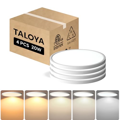 Ceiling Light (4 Count)