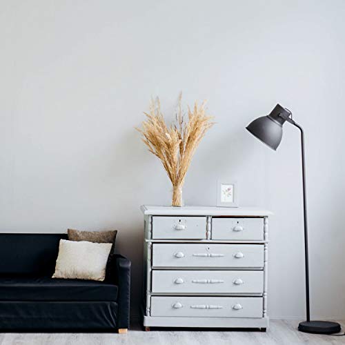 A19 LED Light Bulbs (16 Count)