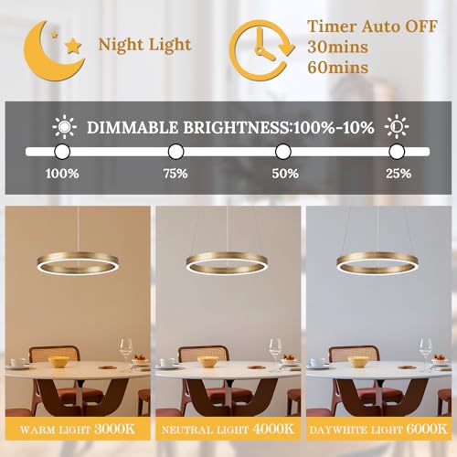 12in LED Ring Chandelier Brass Gold Modern Dimmable Pendant Light