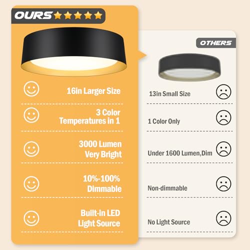 Flush Mount Ceiling Light