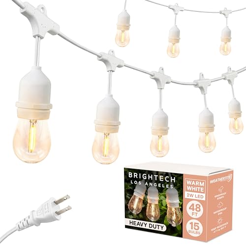 Ambience Pro Waterproof LED Outdoor String Lights (48 Foot)