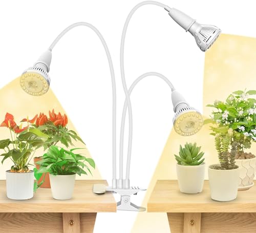 Grow Lights for Indoor Plants