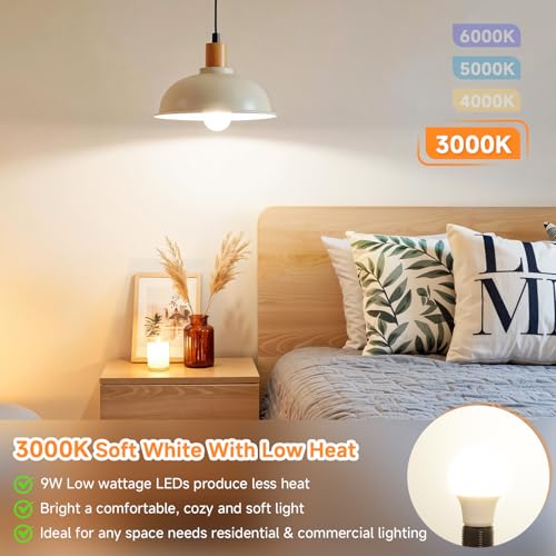 A19 LED Light Bulbs (4 Count)